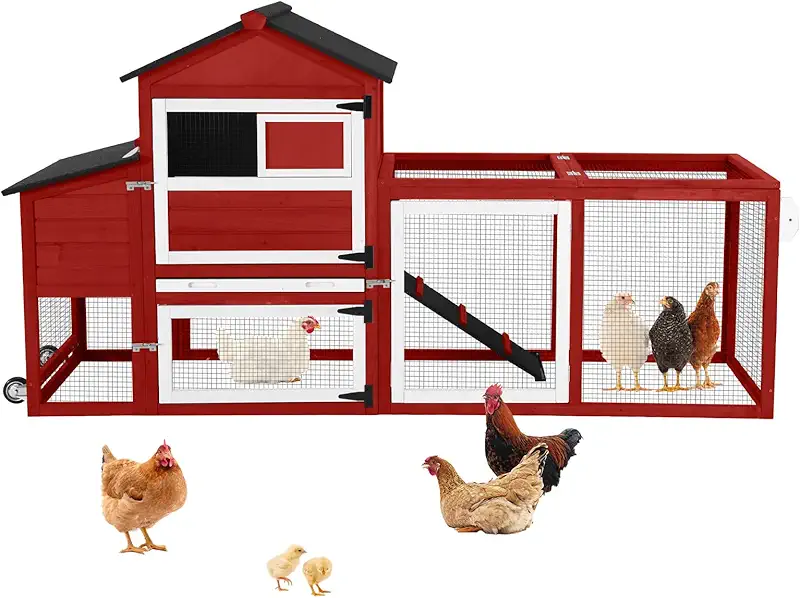 cheap chicken coop