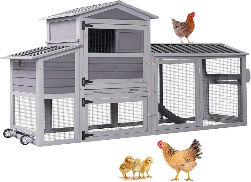 cheap chicken coop