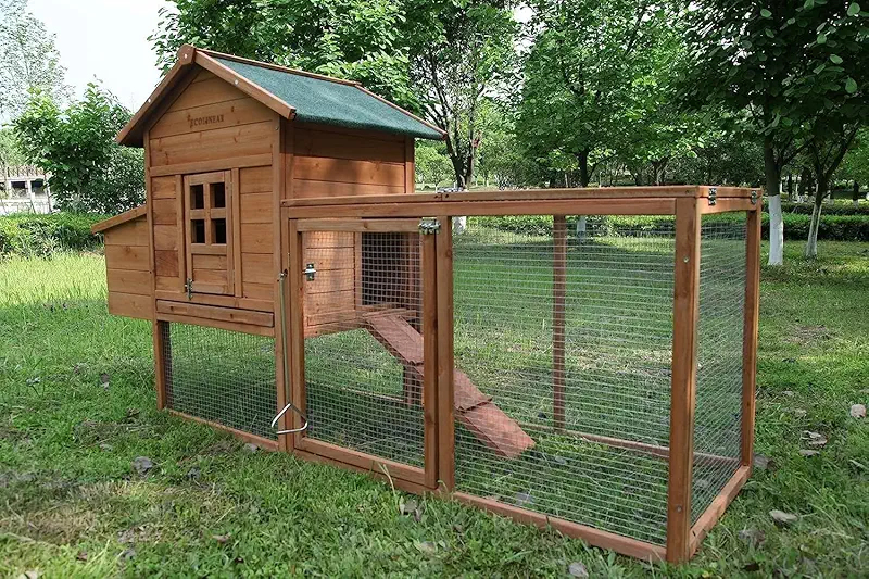 cheap chicken coop
