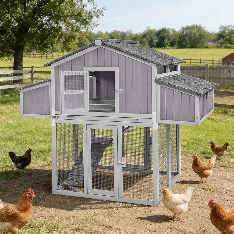 cheap chicken coop