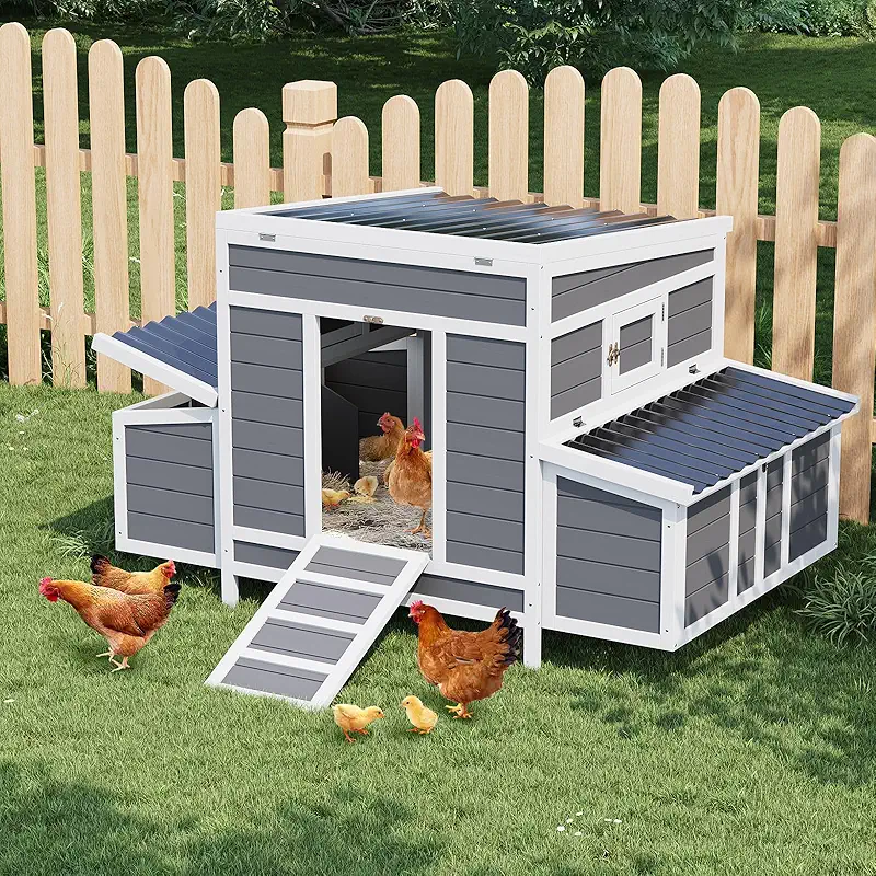 cheap chicken coop
